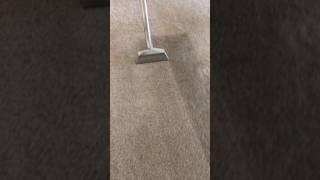 Suds Up Carpet and Tile Cleaning 727-534-3332 Pasco County Florida