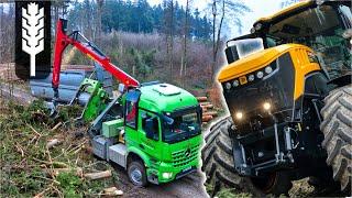 Holzhacker räumt den Wald auf | Heizohack JCB Fastrac | Bergmann Tridem  | Agrarvideos Schwaben