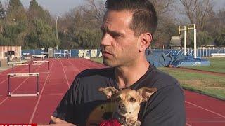 Meet Jellybean, the marathon-running chihuahua