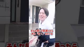 【犬しつけ】愛犬が本能的に動くときは？
