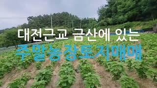 충남금산토지매매/금산군금성면토지매매/금성면마수리에 있는 전원주택지 매매/금산마수리주말농장부지매매/금산농촌체류형쉼터부지매매