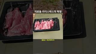 의료용 아이스박스 업체에서 캠핑용을 작정하고 만들어서 난리난 상황