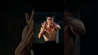 bruce _lee the _legend