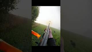 What a shot pheasant hunting #birdhunter #pheasanthunting #pigeonhunting #crowhunting #hunters