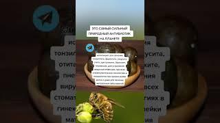 это самый сильный природный антибиотик на планете. #народнаямедицина