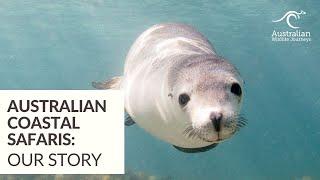 Australian Coastal Safaris: Our Story | Australian Wildlife Journeys