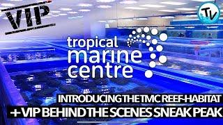 BEHIND THE SCENES AT TROPICAL MARINE CENTRE