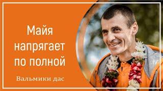 Майя напрягает по полной. Вальмики дас