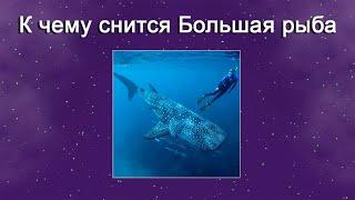 К чему снится Большая рыба – толкование сна по Соннику