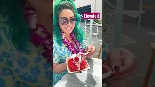 Hawaiian #shavedice #shorts #ninthisland #hawaii #travel #foodie #mukbang #elevated #travelvlog