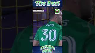 MAARTEN PAES BEST FLYING SAVE 2024 Vol  3 #sports #football #soccer #sepakbola #worldcup #timnas