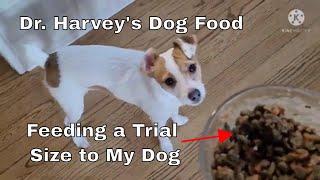 My Dog is Trying Dr. Harvey's Wet Dog Food - Test Trial of a New Dog Food