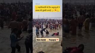 MahaKumbh  Prayagraj  #shorts #mahakumbh2025 #kumbh #prayagraj #mahakumbh #prayagrajkumbh #love