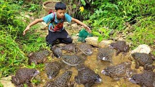 Poor boy Dat caught giant green frogs and sold them, survival skills || Dat pitiful