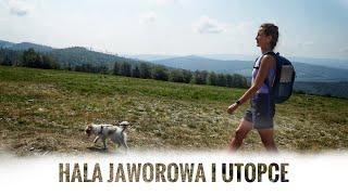 Hala Jaworowa - Kotarz - Bajkowy Szlak Utopca