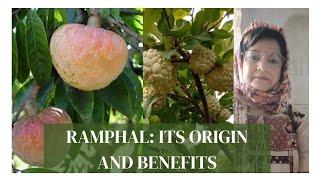 Ramphal: Its origin and benefits (narrated in Hindi)