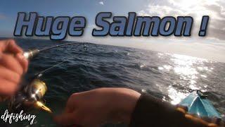 Big Salmon! and Snook on soft plastics | Kayaking Marino Rocks SA