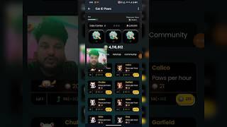 Cat ID Paws combo card daily ll 3 July cat ID Paws combo card #cat #catidpaws #cprogramming #yt