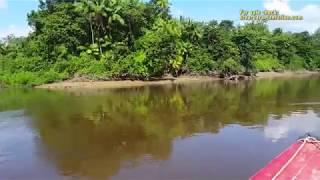 Santa Barbara Plantation on the Suriname River 850 hectare for sale