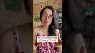 Lucky Direction for Money Plant | Easy Vasstu #Shorts | Vastu Tips | Pooja Bhalla