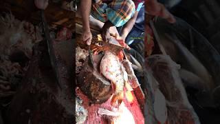 Giant Mirror Carp Fish Cutting || Huge Eggs || Excellent Cutting Skills  #shorts