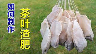 茶叶肥, 室内有机肥/花肥 How to make tea leave compost/home made organic fertilizer (Eng Subtitle)