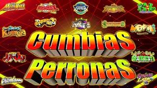 LAS MEJORES CUMBIAS SONIDERAS PARA BAILAR 2024 MIX CUMBIAS PERRONASMIX GRUPO QUINTANNA,TEPOZ Y MÁS