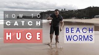 How I Catch HUGE Beach Worms! Learn KEY SKILLS