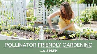 5 Easy Ways To Make Your Garden More Pollinator Friendly