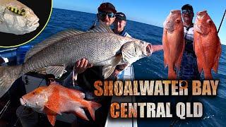 SHOALWATER BAY | CENTRAL QLD | REEF FISHING | BAIT & JIGS | 670KM ADVENTURE BY SEA