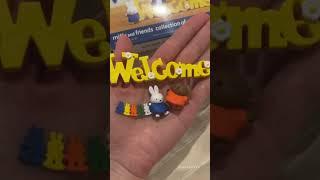 Japan Blind Box: Miffy and Friends Collection of Words