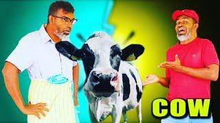 cow maadu | Tika Bro