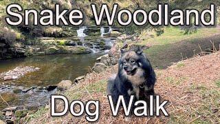 Exploring the Beauty and Mystery of Snake Woodland and Beyond - A Peak District Dog Walk