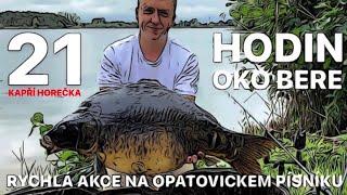 21 HODIN OKO BERE! - KAPŘÍ HOREČKA - TEST BOILIES - RYBAŘENÍ PŘES NOC POD NASH TITAN HIDE CAMO PRO