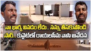 A Rayalaseema Man Stranded In Kuwait | Releases Video Seeking Help || Samayam Telugu