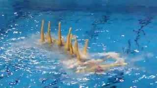 WJSSC 2014, Hungary, team preliminary