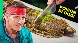 Eating Japan's Most DANGEROUS Fish!! (Armageddon-Level Diarrhea)