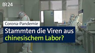 Corona-Pandemie: BND glaubt an Laborunfall als Auslöser | BR24