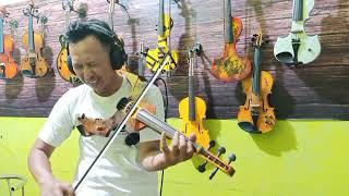 Scorpio seri by Aeyra electric violin