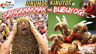 BUBUYOG: Paano Sila Gumawa ng Bahay | Defense Mechanism of Bees