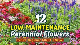 Top 12 LOW-MAINTENANCE Perennial Flowers EVERY Beginner MUST KNOW!  // Gardening Ideas