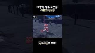 포켓몬 이로치 부르롱