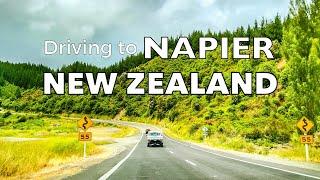 Driving to Napier in New zealand | Nastled of the pacific coast | 4k