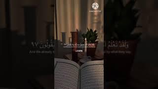 وَلَقَدْ نَعْلَمُ أَنَّكَ يَضِيقُ صَدْرُكَ بِمَا يَقُولُونَ (97)