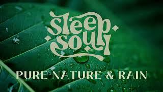 Sleep Soul: Soothing Pure Nature & Rain Sounds With Green Noise [Full Album]