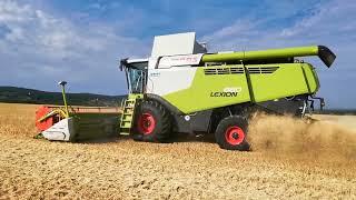 Žatva 2022 ozimní jačmeň CLAAS LEXION 660+CLAAS MEGA 360