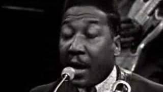 Muddy Waters - Got My Mojo Workin'