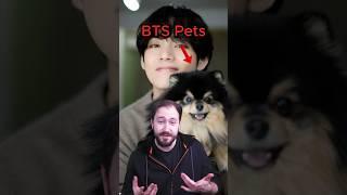 BTS Pets - Kennst du die Haustiere der BTS Member? 