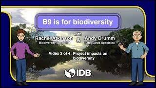 Project impacts on biodiversity