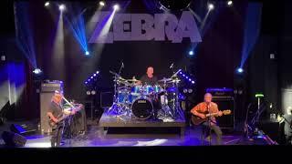 Zebra "Time" (11/8/24 Charlotte, NC) 4K